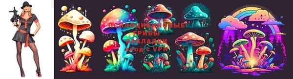 спайс Вуктыл