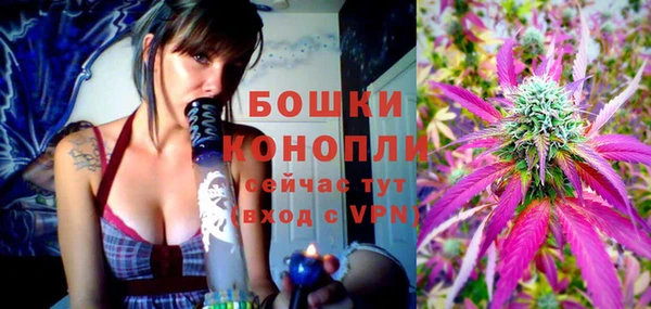 стафф Нефтекумск
