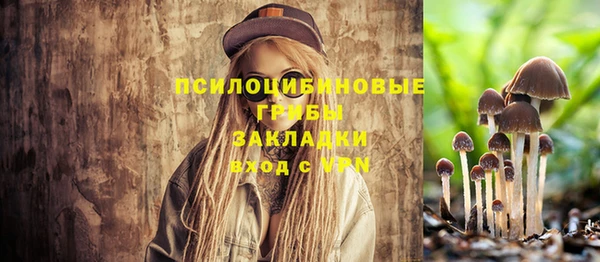 стафф Нефтекумск