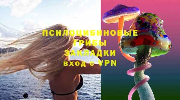 соль ск Нефтегорск
