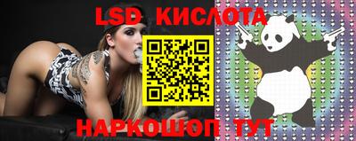 стафф Гатчина