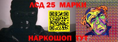 гидропоника Гусь-Хрустальный