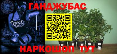 гидропоника Гусь-Хрустальный
