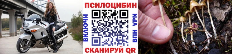 где можно купить Калач-на-Дону Галлюциногенные грибы ЛСД
