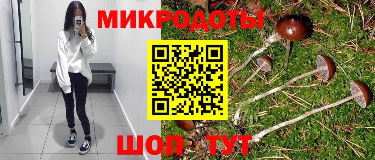 Калач-на-Дону  Псилоцибиновые грибы Cubensis  Вход с VPN  Псилоцибиновые грибы мухоморы 